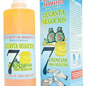 Fregasuelos Levanta Negocio